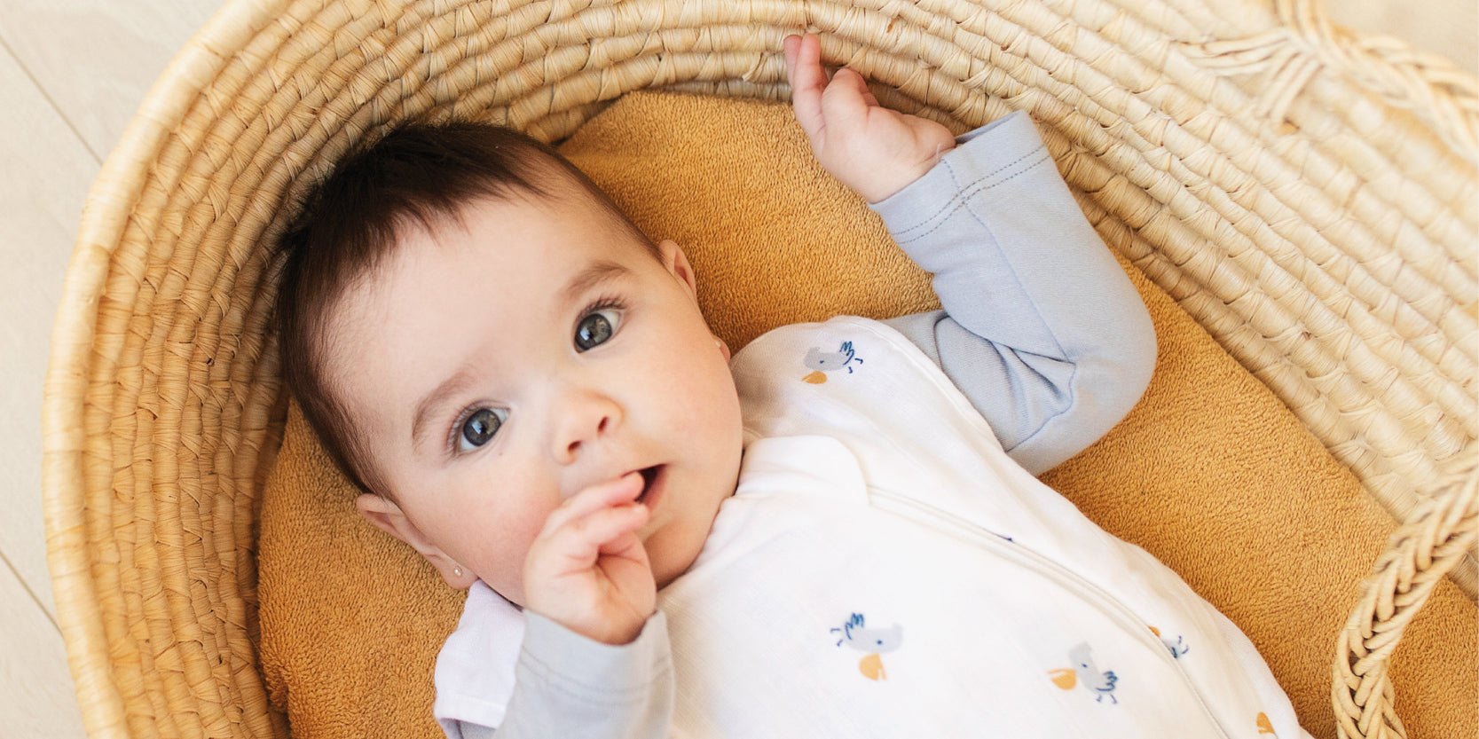 Bébé heureux avec une doudou perlimpinpin